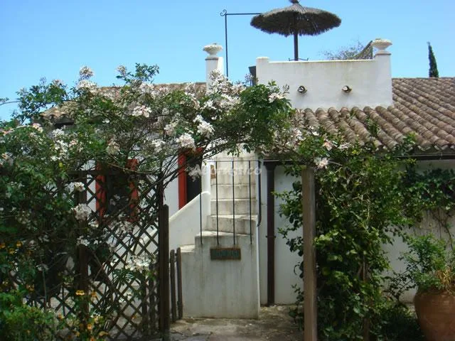 CASA LUNA en PELAYO — miniatura 17
