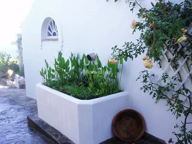 CASA LUNA en PELAYO — miniatura 19
