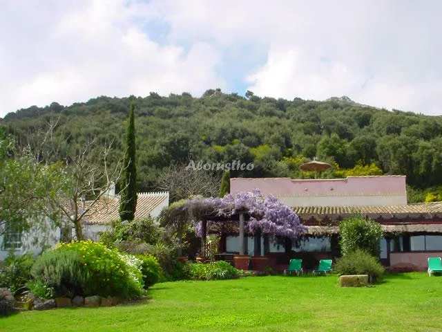 CASA LUNA en PELAYO — miniatura 4