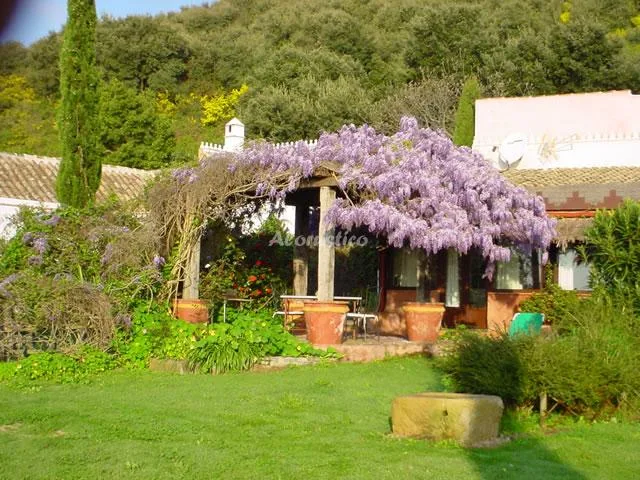 CASA LUNA en PELAYO — miniatura 20