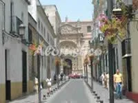 ATICO ARBOLEDA en PUERTO DE SANTA MARÍA — miniatura 7