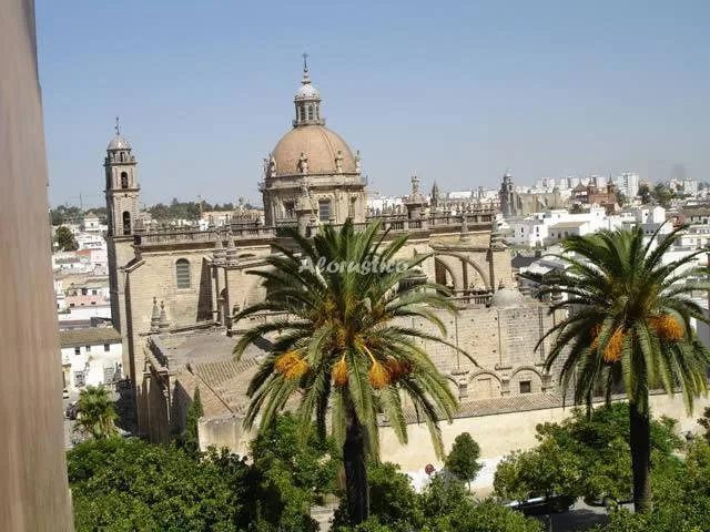 CASA JEREZ en JEREZ DE LA FRONTERA — miniatura 5