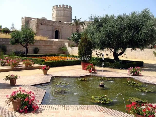 CASA JEREZ en JEREZ DE LA FRONTERA — miniatura 9
