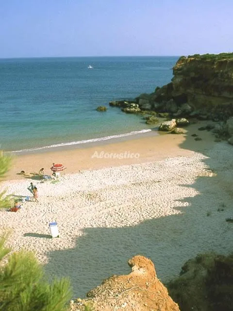 CAÑADA DEL ROSAL en CONIL DE LA FRONTERA — miniatura 5