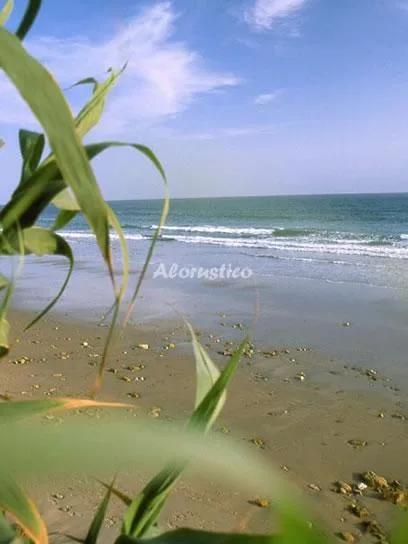 CAÑADA DEL ROSAL en CONIL DE LA FRONTERA — miniatura 16