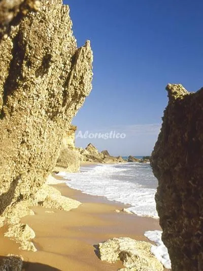 CAÑADA DEL ROSAL en CONIL DE LA FRONTERA — miniatura 19