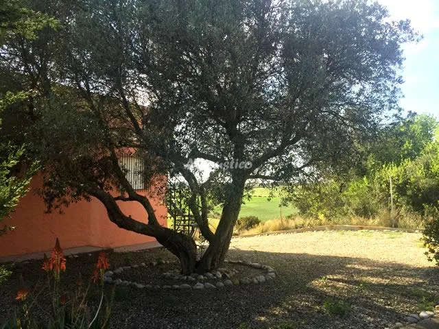 CASA RURAL LOS GARROVILLOS en CONIL DE LA FRONTERA — miniatura 20