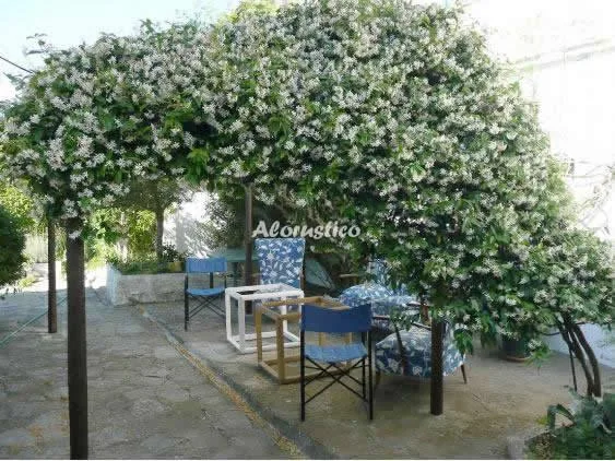 Finca El Bornizo en TARIFA — miniatura 5