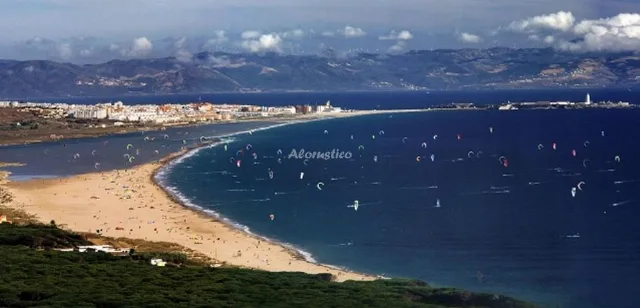 SOL DEL ORO en TARIFA — miniatura 7