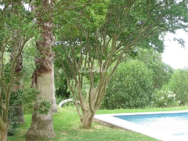 SOL DEL ORO en TARIFA — foto 2