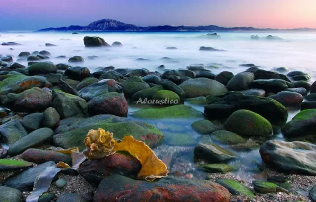 SOL DEL ORO en TARIFA — miniatura 11