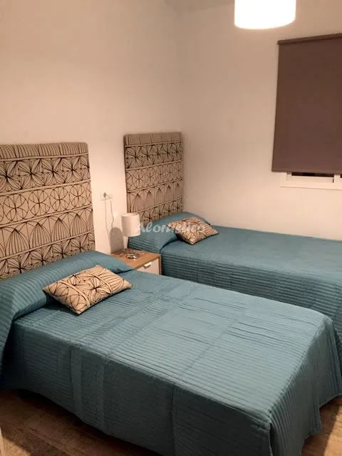ALOJAMIENTO LA ENCINA en OLVERA — miniatura 8
