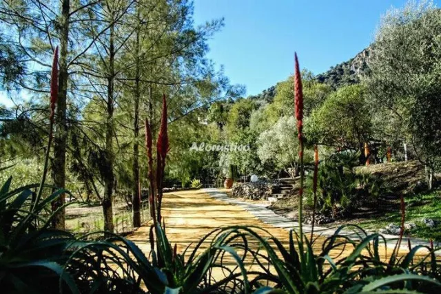 LOS ALGARROBALES- EL RANCHO en EL GASTOR — miniatura 6