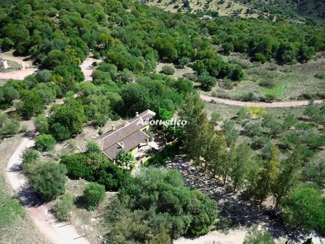 LOS ALGARROBALES- EL RANCHO en EL GASTOR — miniatura 18