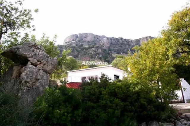 LOS ALGARROBALES- LOS PARAÍSOS ESCONDIDOS 1 en EL GASTOR — miniatura 10