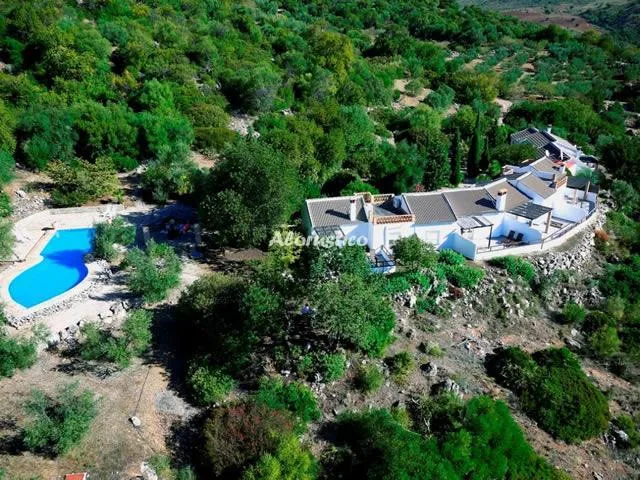 LOS ALGARROBALES- LOS PARAÍSOS 1 en EL GASTOR — miniatura 5