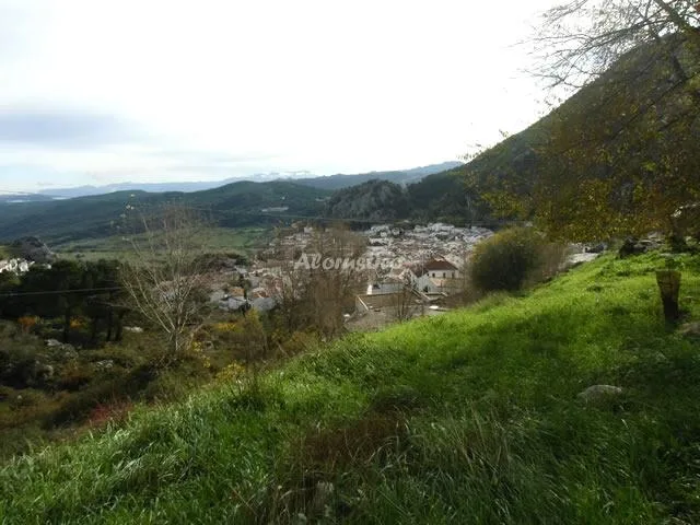 Alojamiento turístico CASA DE LA ABUELA en GRAZALEMA · CÁDIZ