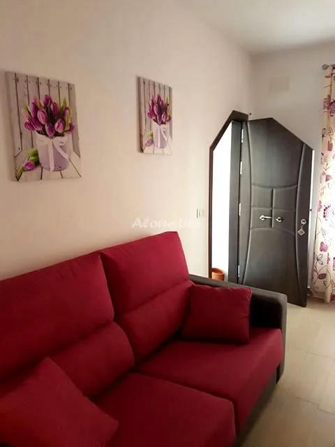 APARTAMENTO PEPI en CONIL DE LA FRONTERA — foto 3