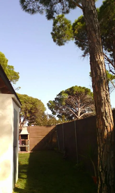 CASA MAR en CHICLANA DE LA FRONTERA — miniatura 10