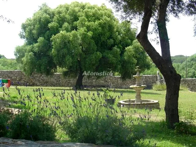 CASA MAXIMON-APTO ROJO (PLANTA BAJA) en CAÑOS DE MECA — miniatura 5