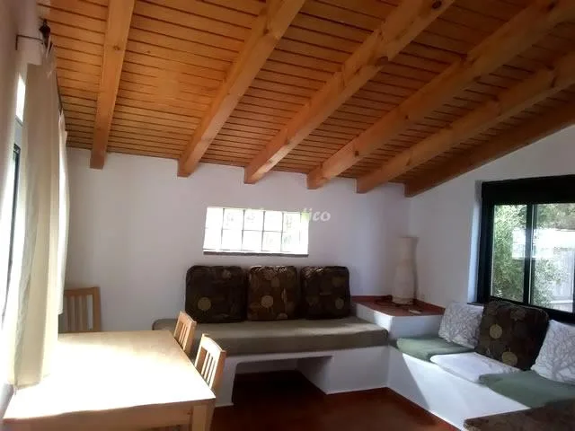CASA MAXIMON-APTO VERDE (PLANTA ALTA IZQ) en CAÑOS DE MECA — miniatura 12