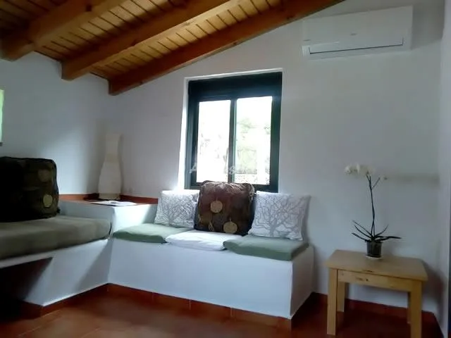 CASA MAXIMON-APTO VERDE (PLANTA ALTA IZQ) en CAÑOS DE MECA — miniatura 13
