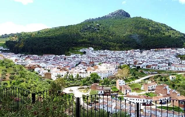 Alojamiento turístico EL JARAL 1 en EL GASTOR · CÁDIZ