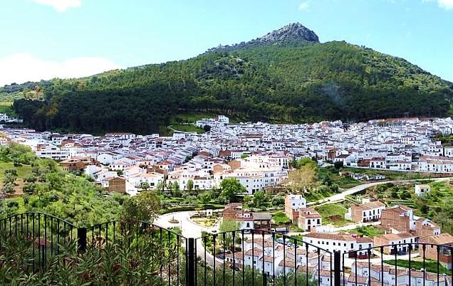 Alojamiento turístico EL JARAL 1 en EL GASTOR, CÁDIZ