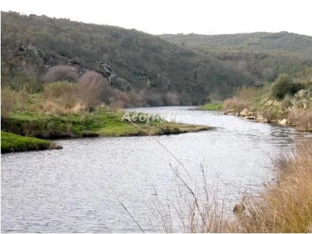 EL JINIEBRO-LA CASA en VALENCIA DE ALCÁNTARA-LORENA — miniatura 15
