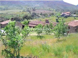 EL JINIEBRO-LA CASA en VALENCIA DE ALCÁNTARA-LORENA — miniatura 6