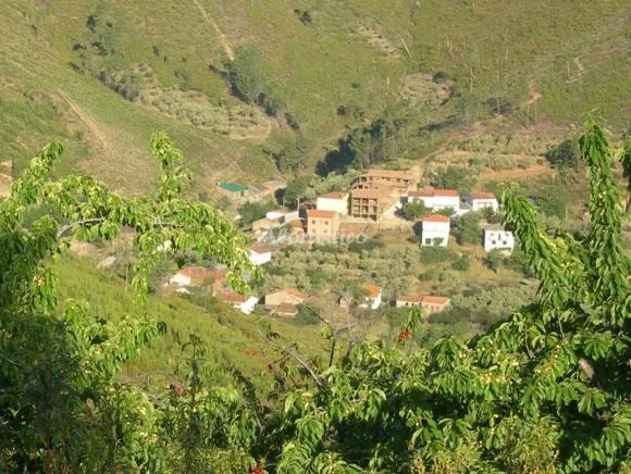 RAMAJAL RURAL APTO 1 en PINOFRANQUEADO — miniatura 4