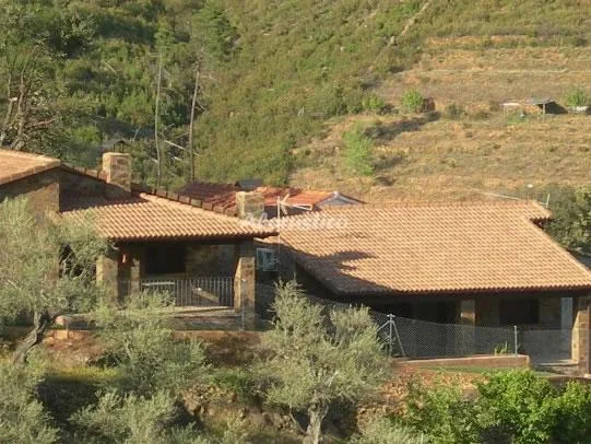 RAMAJAL RURAL APTO 1 en PINOFRANQUEADO — foto 2