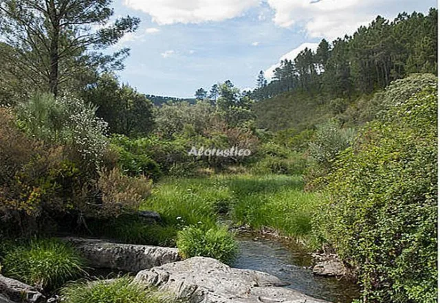 APARTAMENTO RURAL EL PERAL en CAMINOMORISCO — miniatura 20