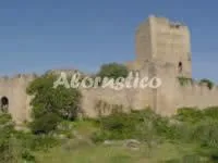 Alojamiento turístico COMPLEJO PEÑAFIEL - APARTAMENTO 4 PAX en ZARZA LA MAYOR · CÁCERES