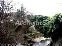 LA SALAMANDRA GRANATE en HERVAS — miniatura 4
