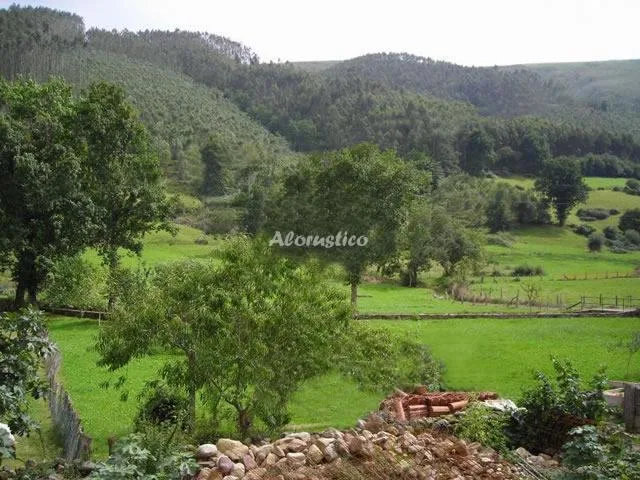 EL REPOSO DE ARTEMISA en COS-MAZCUERRAS — foto 2