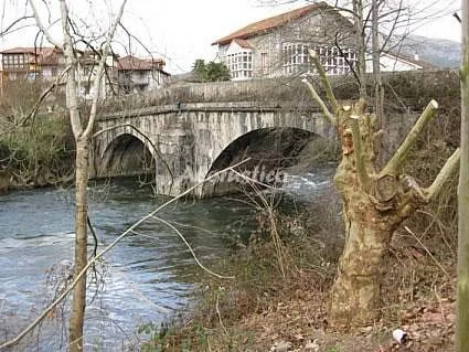 CASA TESUCA en VALLE DE RUESGA — miniatura 7
