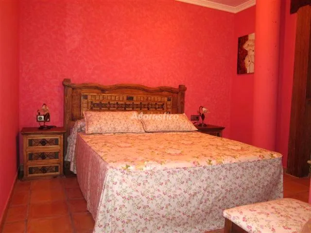 CASA TINUCA - APTO LA CEBILLA en MAZCUERRAS — miniatura 8
