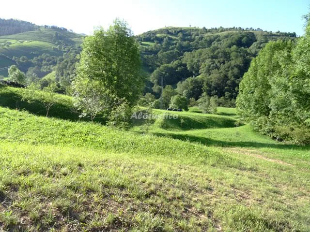 LA CABAÑA PASIEGA en CAMPILLO-SELAYA — miniatura 18