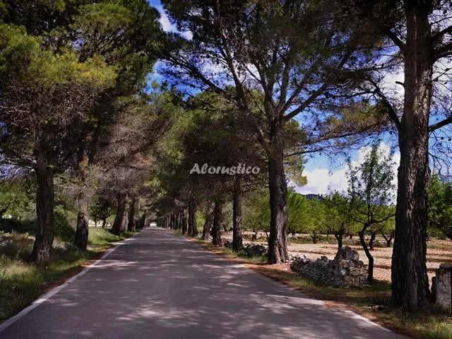 CASA RURAL LA GLORIETA en CATÍ — miniatura 8