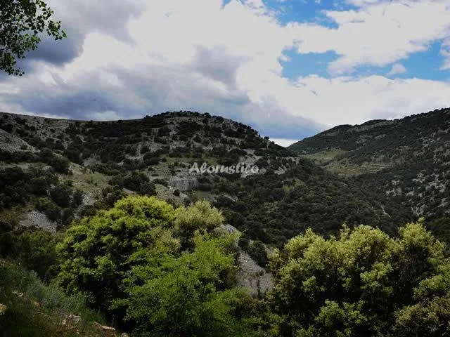 CASA RURAL LA GLORIETA en CATÍ — miniatura 13