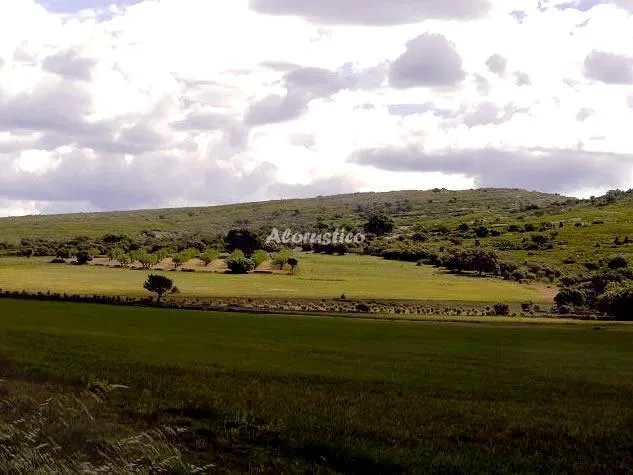 CASA RURAL LA GLORIETA en CATÍ — miniatura 14