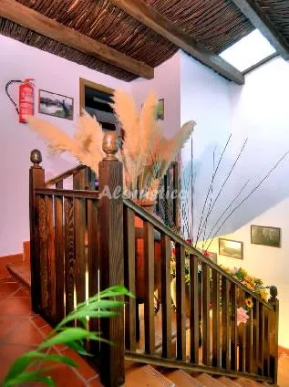 LOS GAÑANES en PUEBLA DE DON RODRIGO — miniatura 10