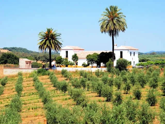 CASA RURAL LA SALUD en POSADAS — miniatura 7