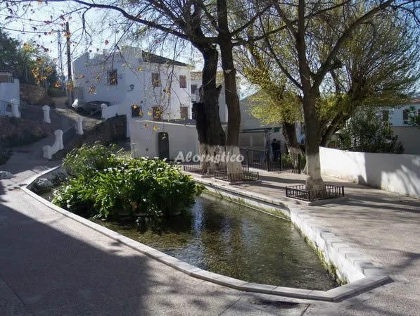 CASA SIERRA ALCAIDE en ZAGRILLA ALTA (PRIEGO DE CORDOBA) — miniatura 8
