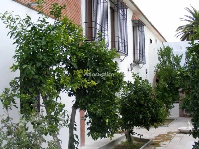 CASA SAN ANTONIO-TORREÓN en CABRA — miniatura 6