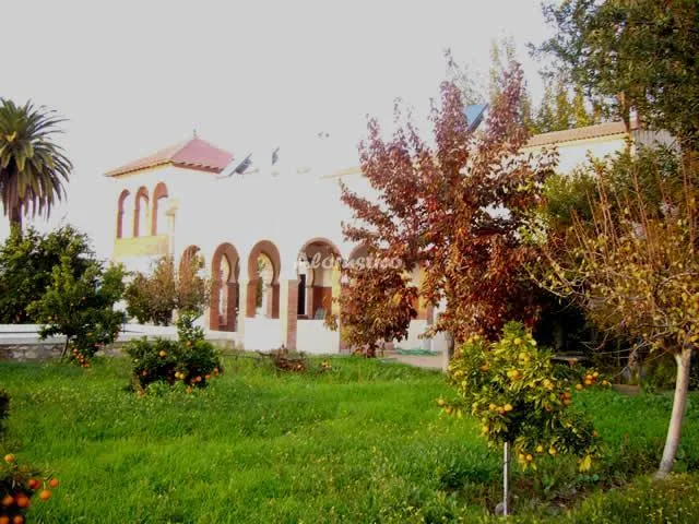 CASA SAN ANTONIO-CASA 2 en CABRA — miniatura 7