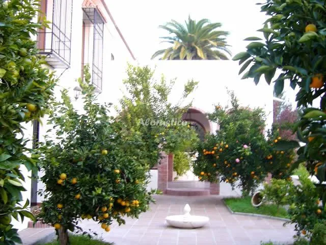 CASA SAN ANTONIO-CASA 2 en CABRA — miniatura 12