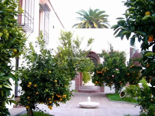 CASA SAN ANTONIO-CASA 3 en CABRA — miniatura 8