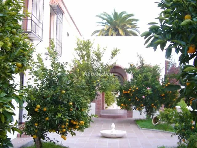 CASA SAN ANTONIO-CASA 4 en CABRA — miniatura 7